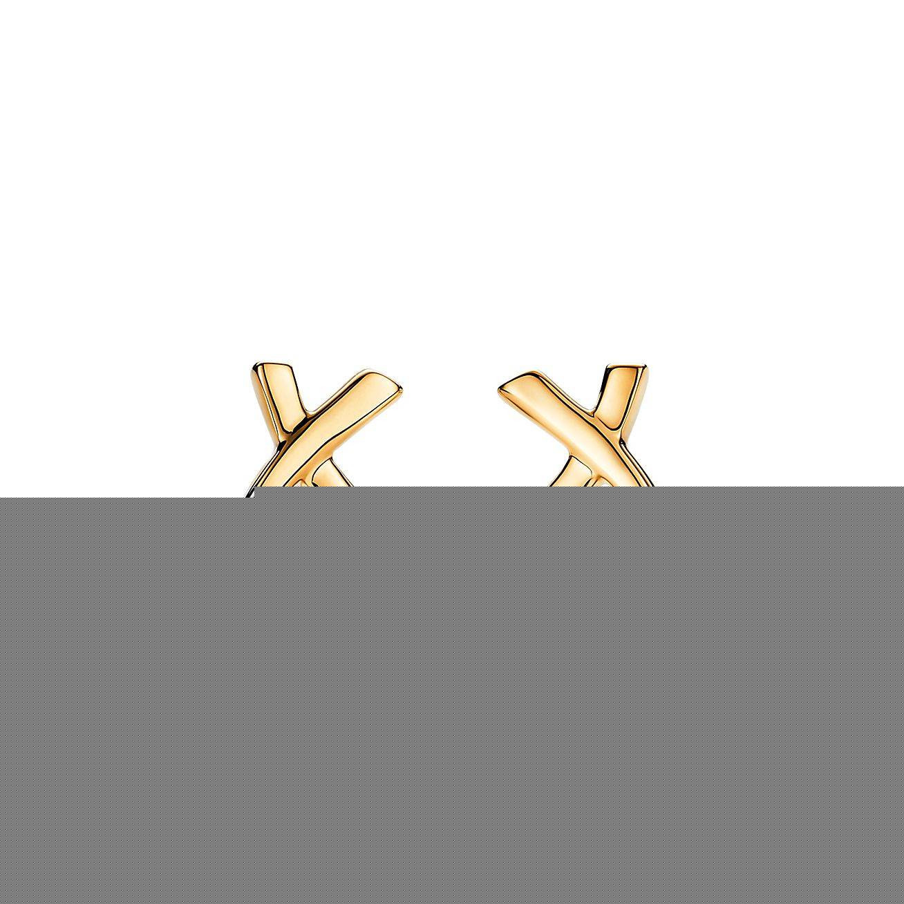 T*f*ny  palomas graffiti x earrings