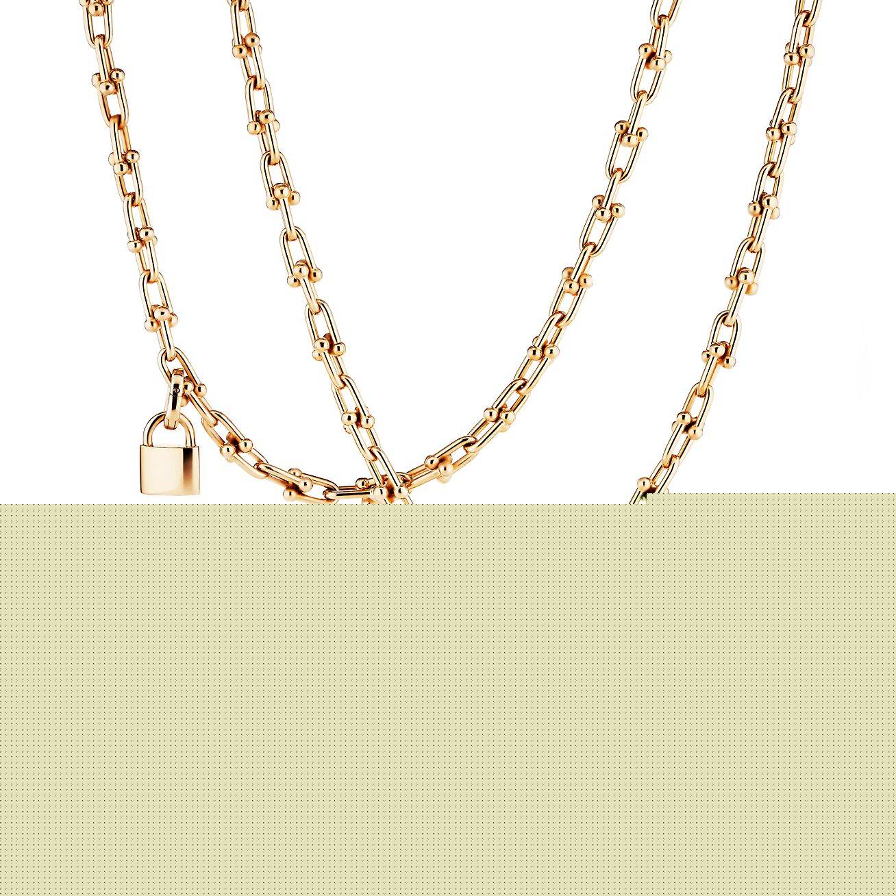 T*f*ny hardwear wrap necklace