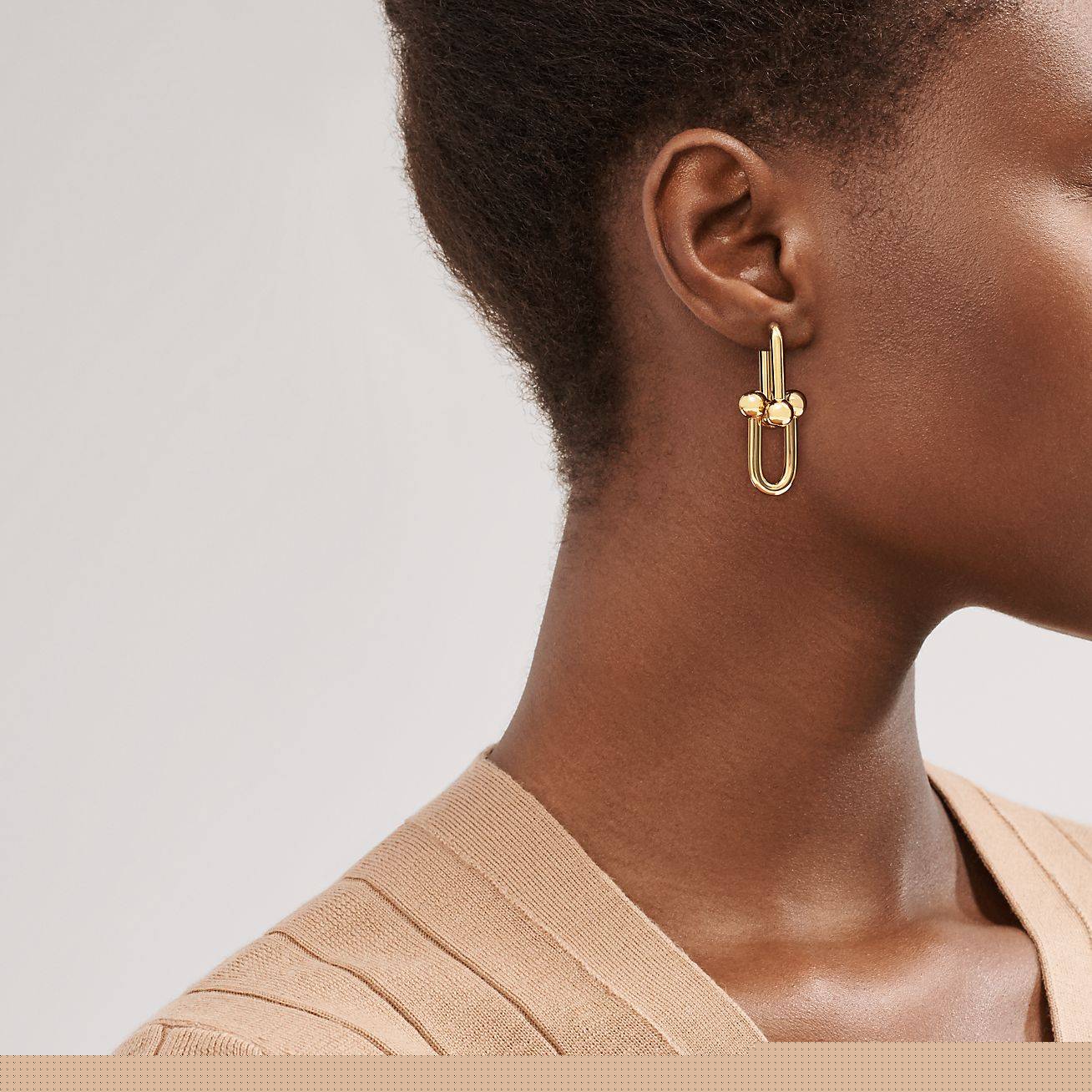 T*f*ny hardwear link earrings