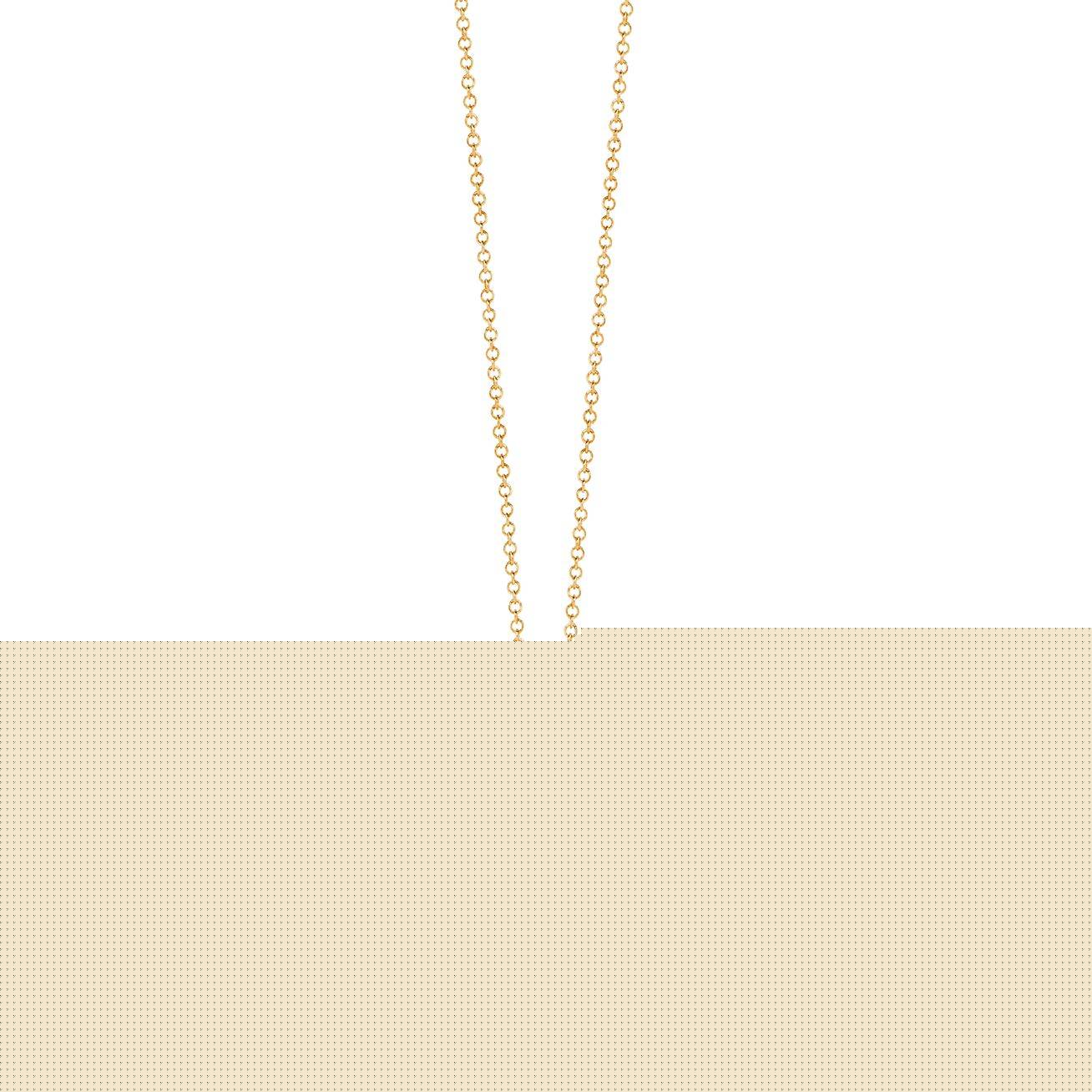 T*f*ny  paloma picasso® olive leaf pendant