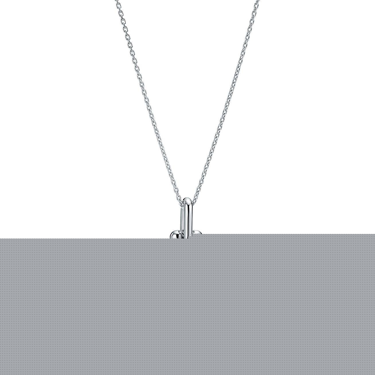 T*f*ny hardwear link pendant
